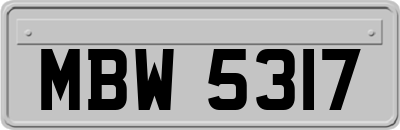 MBW5317