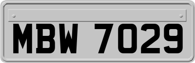 MBW7029