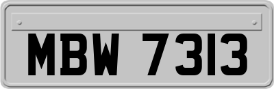 MBW7313