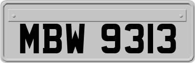 MBW9313