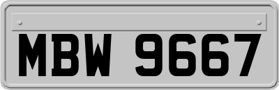 MBW9667