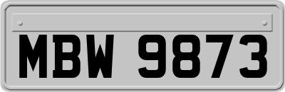 MBW9873