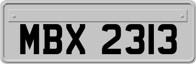 MBX2313