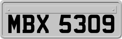 MBX5309
