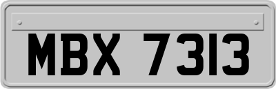 MBX7313