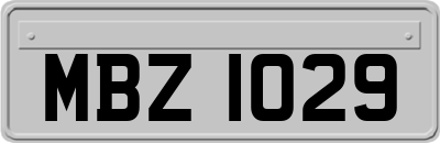 MBZ1029