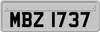 MBZ1737