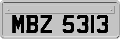 MBZ5313