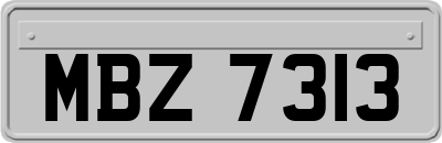 MBZ7313