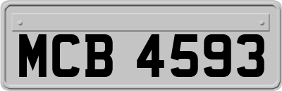 MCB4593