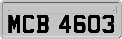 MCB4603