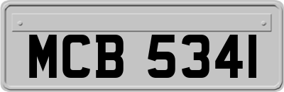 MCB5341