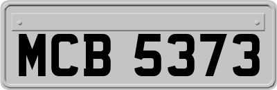 MCB5373