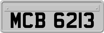 MCB6213