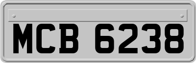 MCB6238