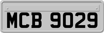 MCB9029