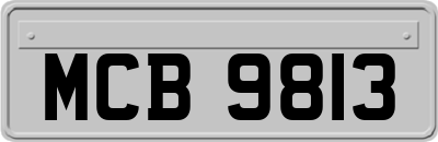 MCB9813