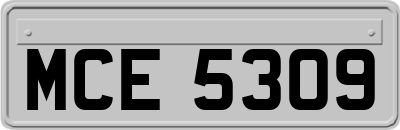 MCE5309