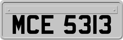 MCE5313