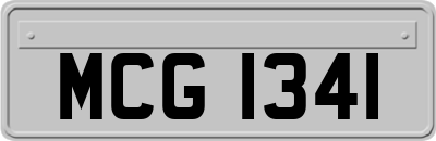 MCG1341