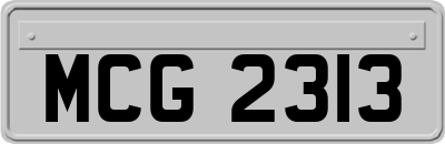 MCG2313