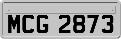 MCG2873