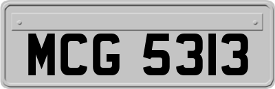 MCG5313
