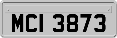 MCI3873