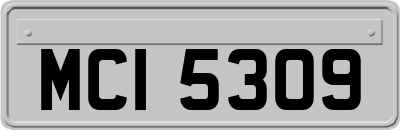 MCI5309