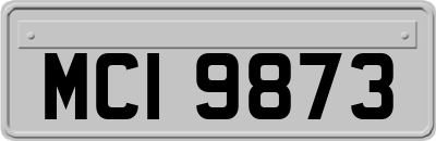 MCI9873