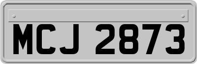 MCJ2873