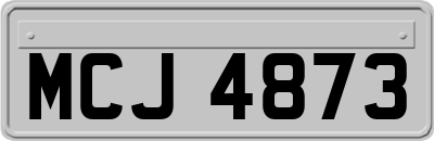 MCJ4873