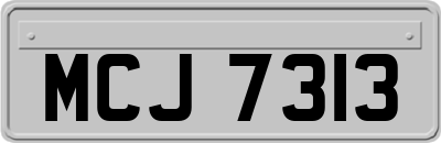 MCJ7313