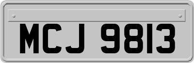 MCJ9813