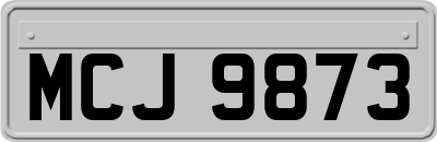 MCJ9873