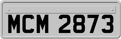 MCM2873