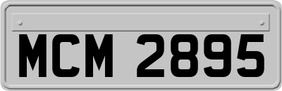 MCM2895