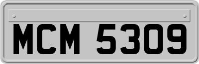 MCM5309