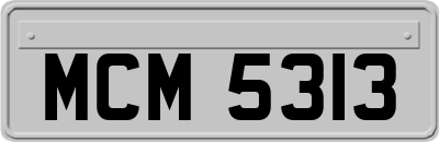 MCM5313