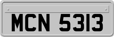 MCN5313