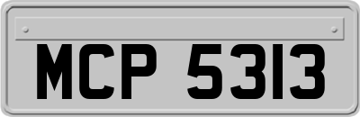 MCP5313