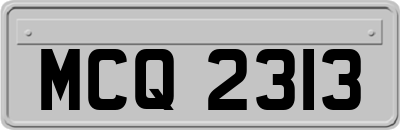 MCQ2313