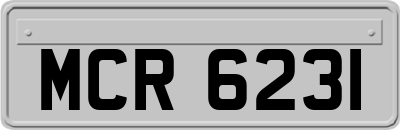 MCR6231