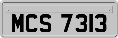 MCS7313