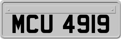 MCU4919