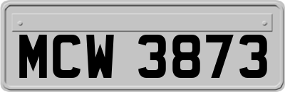 MCW3873