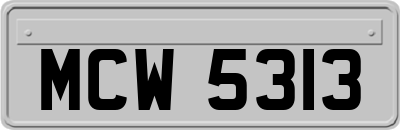 MCW5313