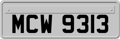 MCW9313