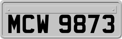 MCW9873
