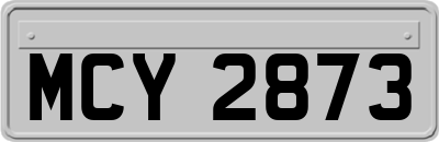 MCY2873